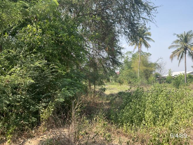 รูป ที่ดินว่างเปล่า 1510 ตร.วา นามน กาฬสินธุ์ 2.3M - รูปที่ 7/21