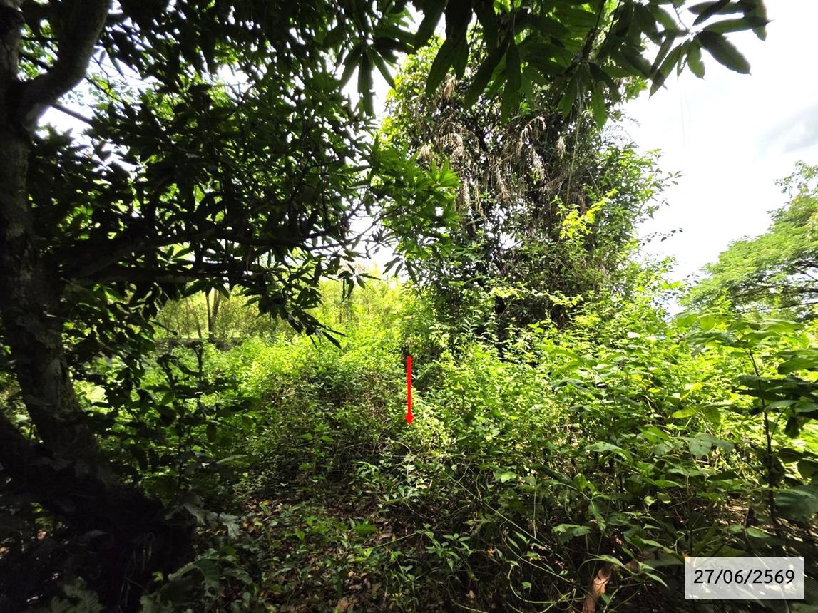 picture LAND 200 Sq.w. Phang Khon Sakon Nakhon for 512,000 - 18/25