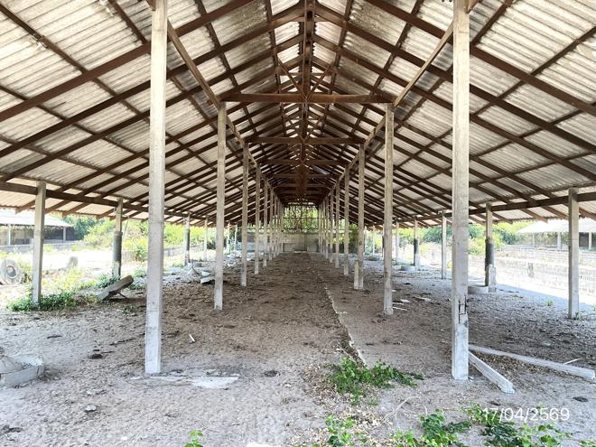 รูป ฟาร์ม 10017 ตร.วา โพธาราม ราชบุรี 12.4M - รูปที่ 12/45