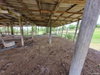 listing thumbnail image 24