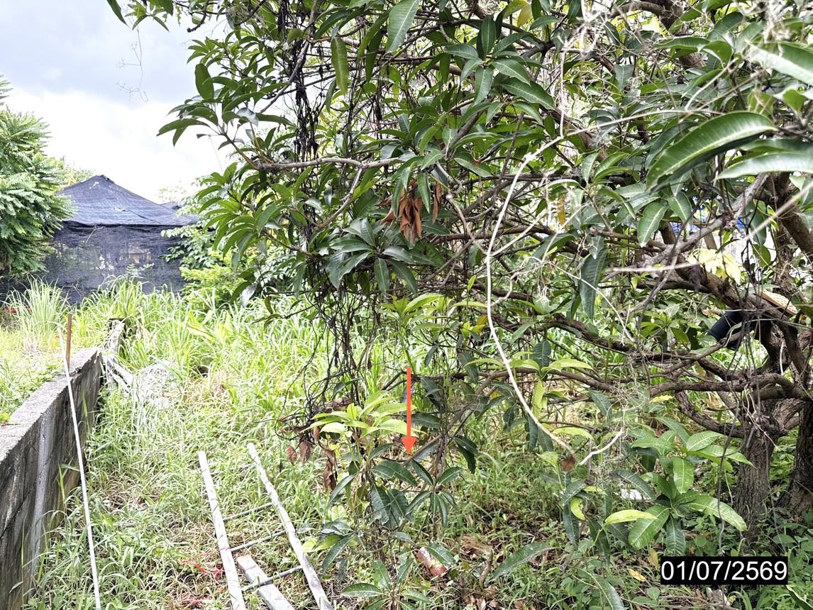 รูป ที่ดินว่างเปล่า 99.6 ตร.วา เมืองขอนแก่น ขอนแก่น 2M - รูปที่ 10/15