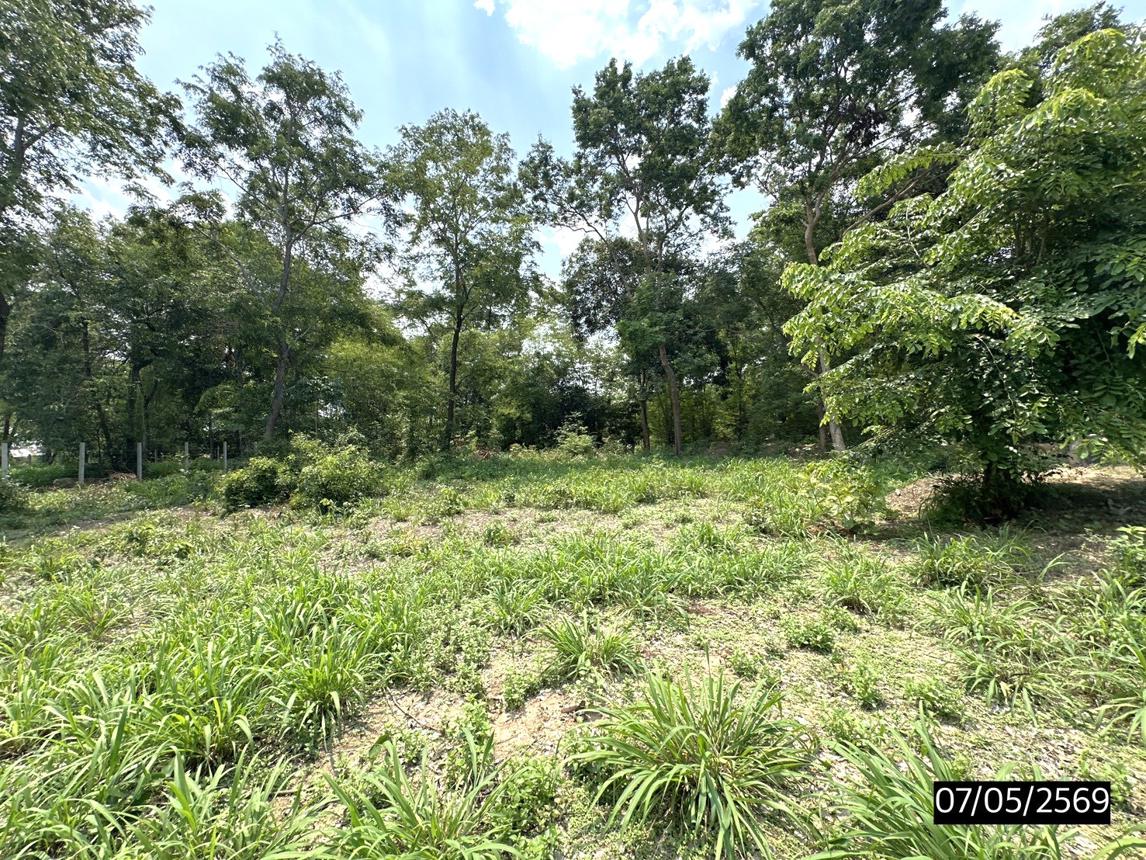 รูป ที่ดินว่างเปล่า 277.4 ตร.วา เมืองสรวง ร้อยเอ็ด 555,000 - รูปที่ 12/17