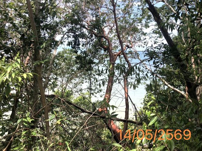 รูป ที่ดินว่างเปล่า 4370 ตร.วา คลองท่อม กระบี่ 35.8M - รูปที่ 8/21