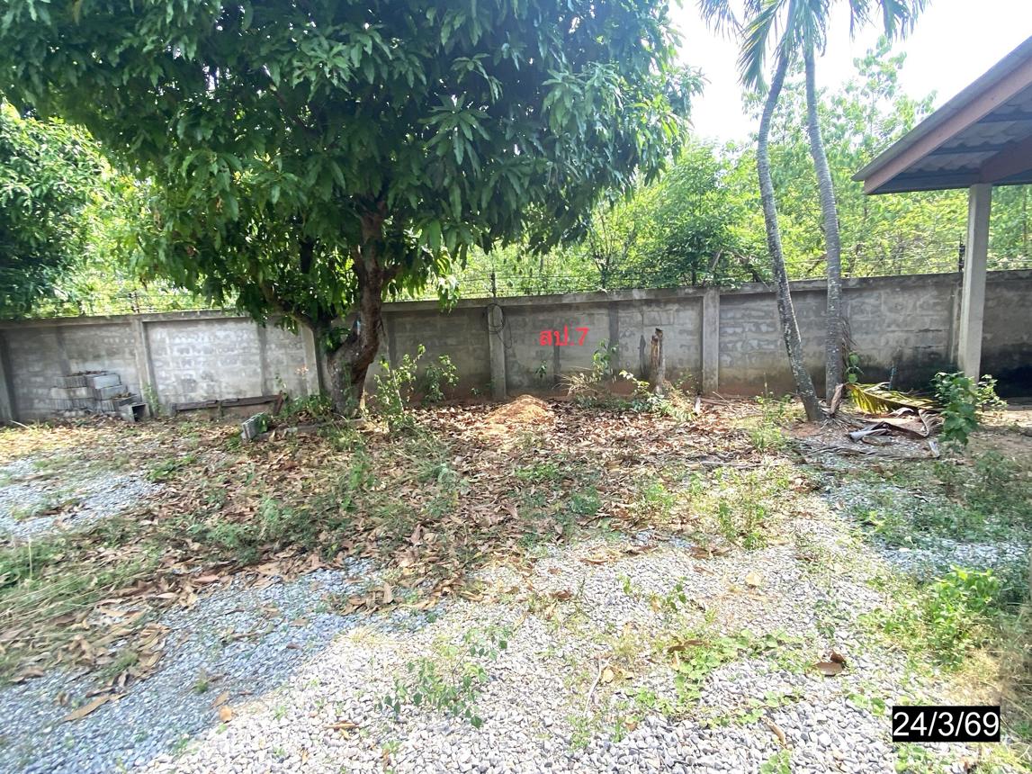 รูป บ้านเดี่ยว 950 ตร.วา บ้านไผ่ ขอนแก่น 9.8M - รูปที่ 48/55