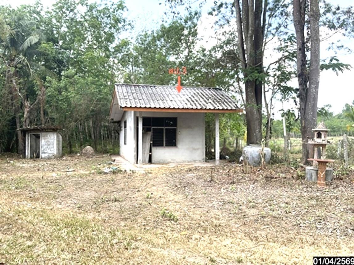 picture LAND 1709.6 Sq.w. Pa Bon Phatthalung for 2.5M - 20/25