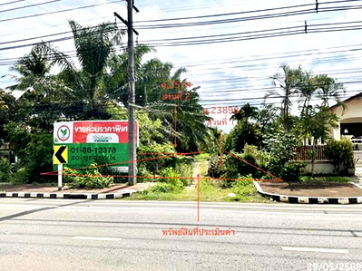 ที่ดิน บางสะพาน ประจวบคีรีขันธ์ : ที่ดินว่างเปล่า 8152 ตร.วา บางสะพาน ประจวบคีรีขันธ์ 13.9M