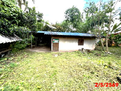 บ้านเดี่ยว สุราษฎร์ธานี : บ้านเดี่ยว 89.4 ตร.วา พระแสง สุราษฎร์ธานี 1.1M