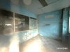 listing thumbnail image 29