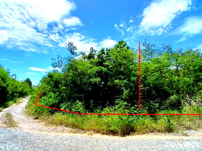 ขายที่ดิน : ที่ดินว่างเปล่า 1980 ตร.วา วังม่วง สระบุรี 3.9M
