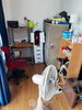 listing thumbnail image 31