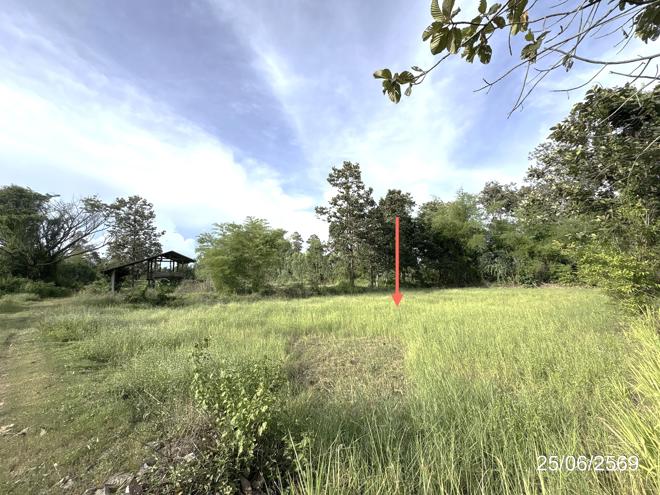 picture LAND 5200 Sq.w. Senangkhanikhom Amnat Charoen for 3.7M - 8/21