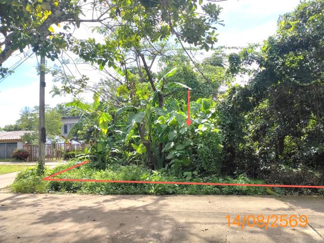 picture HOME 379.2 Sq.w. Muang Krabi Krabi for 2.8M - 11/29