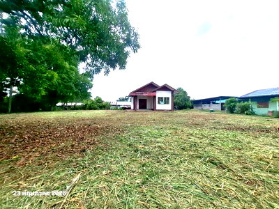 บ้านเดี่ยว นครสวรรค์ : บ้านเดี่ยว 384 ตร.วา ลาดยาว นครสวรรค์ 1.2M