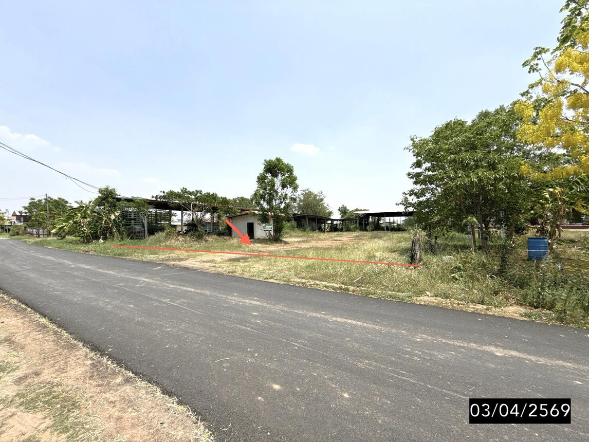 รูป บ้านเดี่ยว 571 ตร.วา ภูเขียว ชัยภูมิ 2M - รูปที่ 38/45
