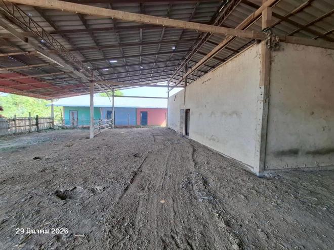 รูป บ้านเดี่ยว 6918 ตร.วา บึงสามัคคี กำแพงเพชร 11.1M - รูปที่ 35/107