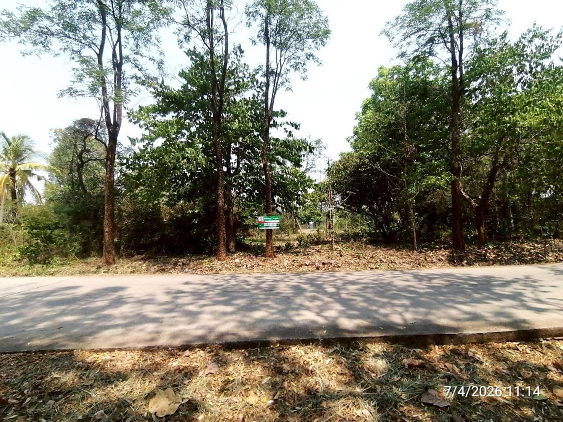 รูป บ้านเดี่ยว 2177 ตร.วา ชุมแพ ขอนแก่น 8.2M - รูปที่ 61/65
