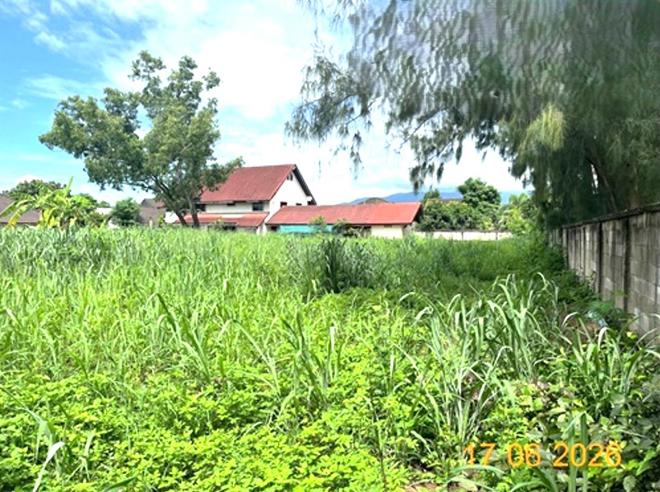 picture LAND 381.5 Sq.w. Muang Lampang Lamphang for 1.1M - 4/19