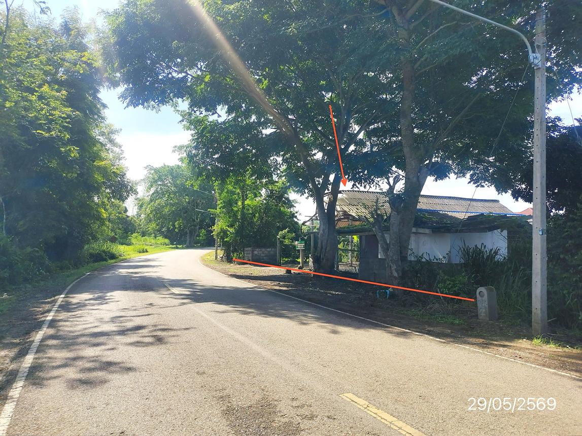 รูป บ้านเดี่ยว 255 ตร.วา เวียงป่าเป้า เชียงราย 872,000 - รูปที่ 27/31