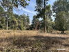 listing thumbnail image 22