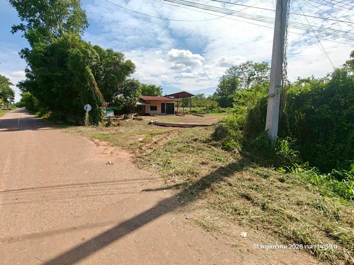 รูป บ้านเดี่ยว 5520 ตร.วา ชานุมาน อำนาจเจริญ 10.2M - รูปที่ 51/55