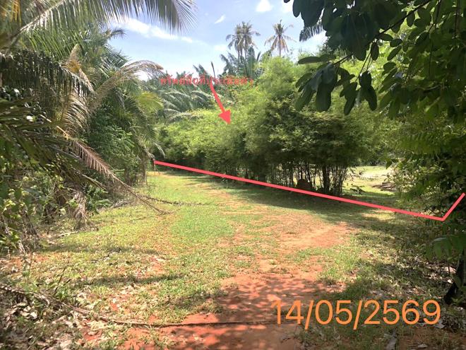 รูป ที่ดินว่างเปล่า 1120 ตร.วา คลองท่อม กระบี่ 2M - รูปที่ 4/17