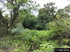 listing thumbnail image 27