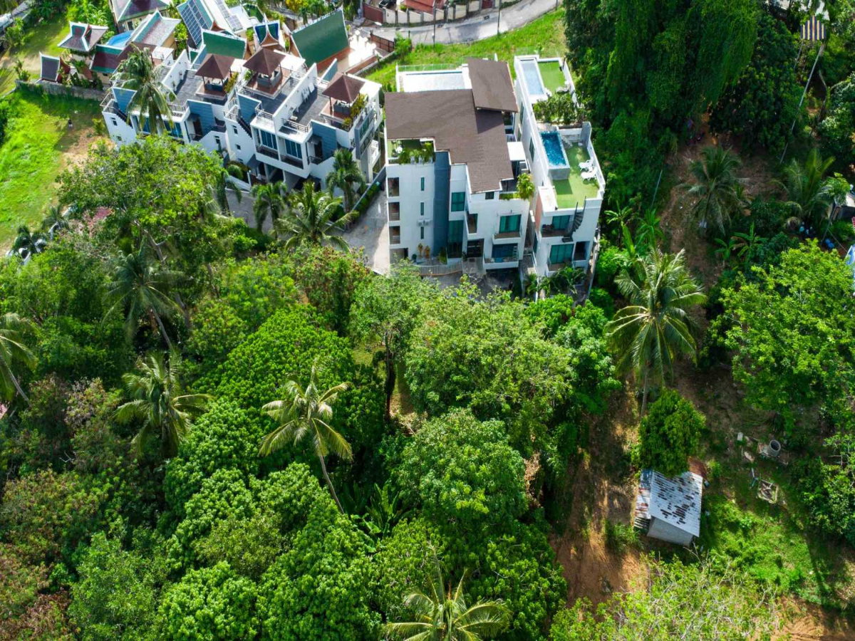 รูป Luxury Rare Sea View หาดกะตะ!! ขายที่ดิน 230.8 ตร.วา เหมาะสร้าง Pool Villa ใกล้หาดกะรน ถนนปฎักทะลุฉลอง | #TPI-3482 - รูปที่ 3/14