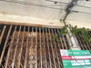 listing thumbnail image 16