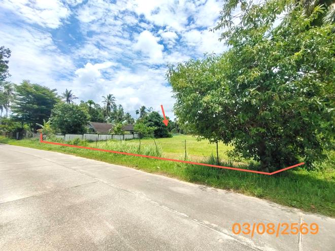 picture LAND 235.5 Sq.w. Nua Khlong Krabi for 2.6M - 4/17
