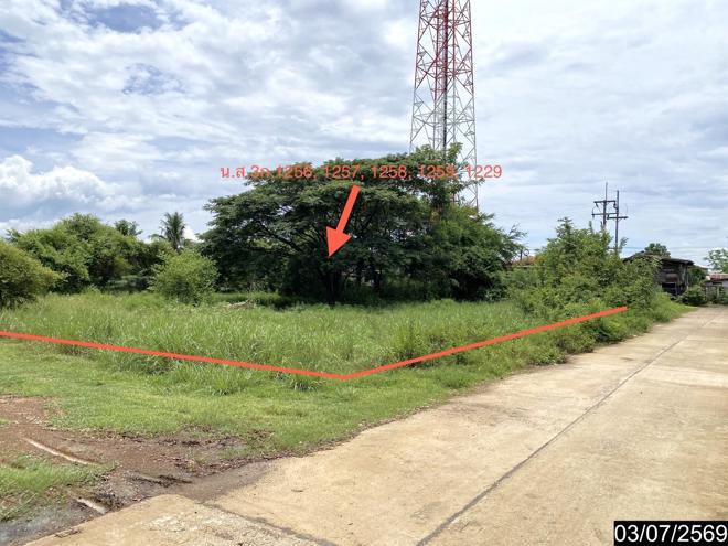 รูป เพิงอเนกประสงค์ 2059 ตร.วา นากลาง หนองบัวลำภู 10.8M - รูปที่ 13/41