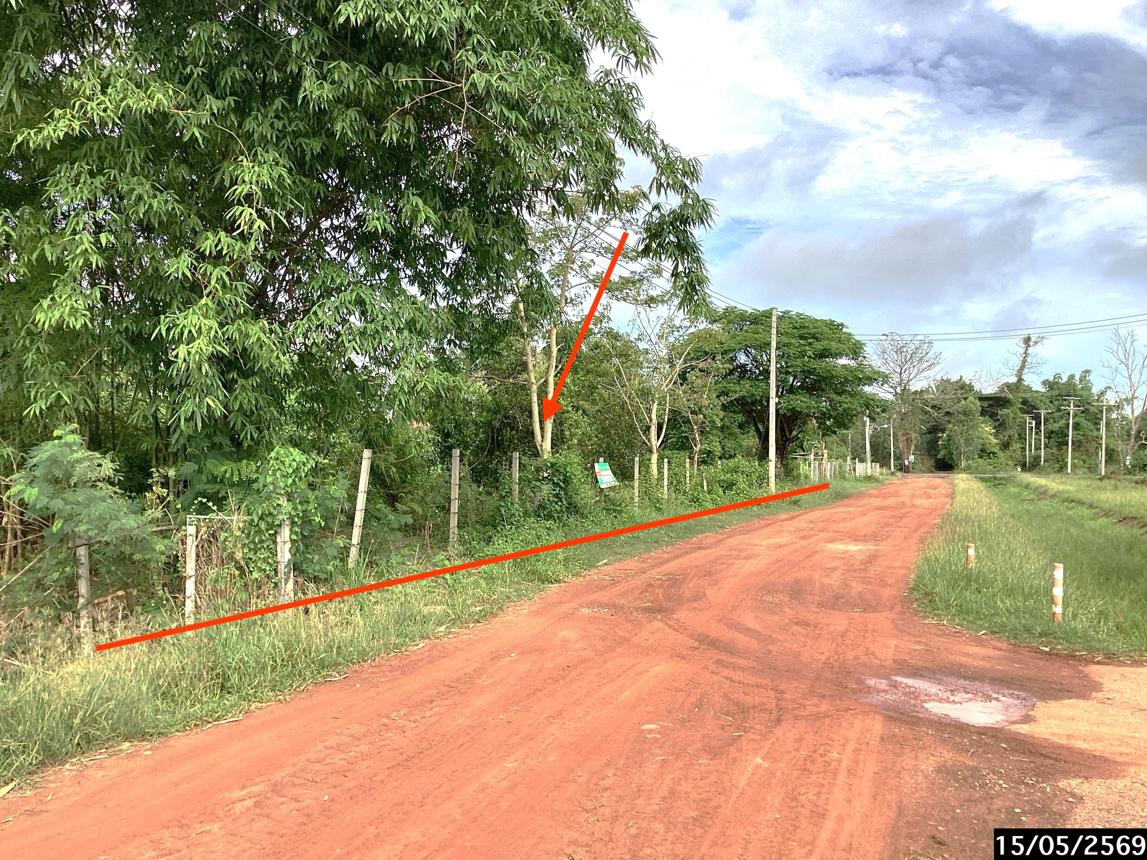 รูป ที่ดินว่างเปล่า 1124.3 ตร.วา เมืองสกลนคร สกลนคร 1.4M - รูปที่ 13/23