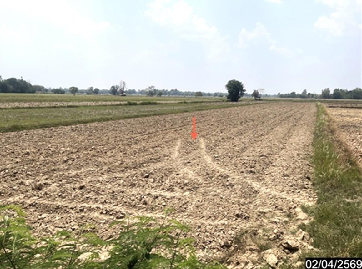 รูป ที่ดินว่างเปล่า 1315 ตร.วา หนองกุงศรี กาฬสินธุ์ 704,000 - รูปที่ 15/19