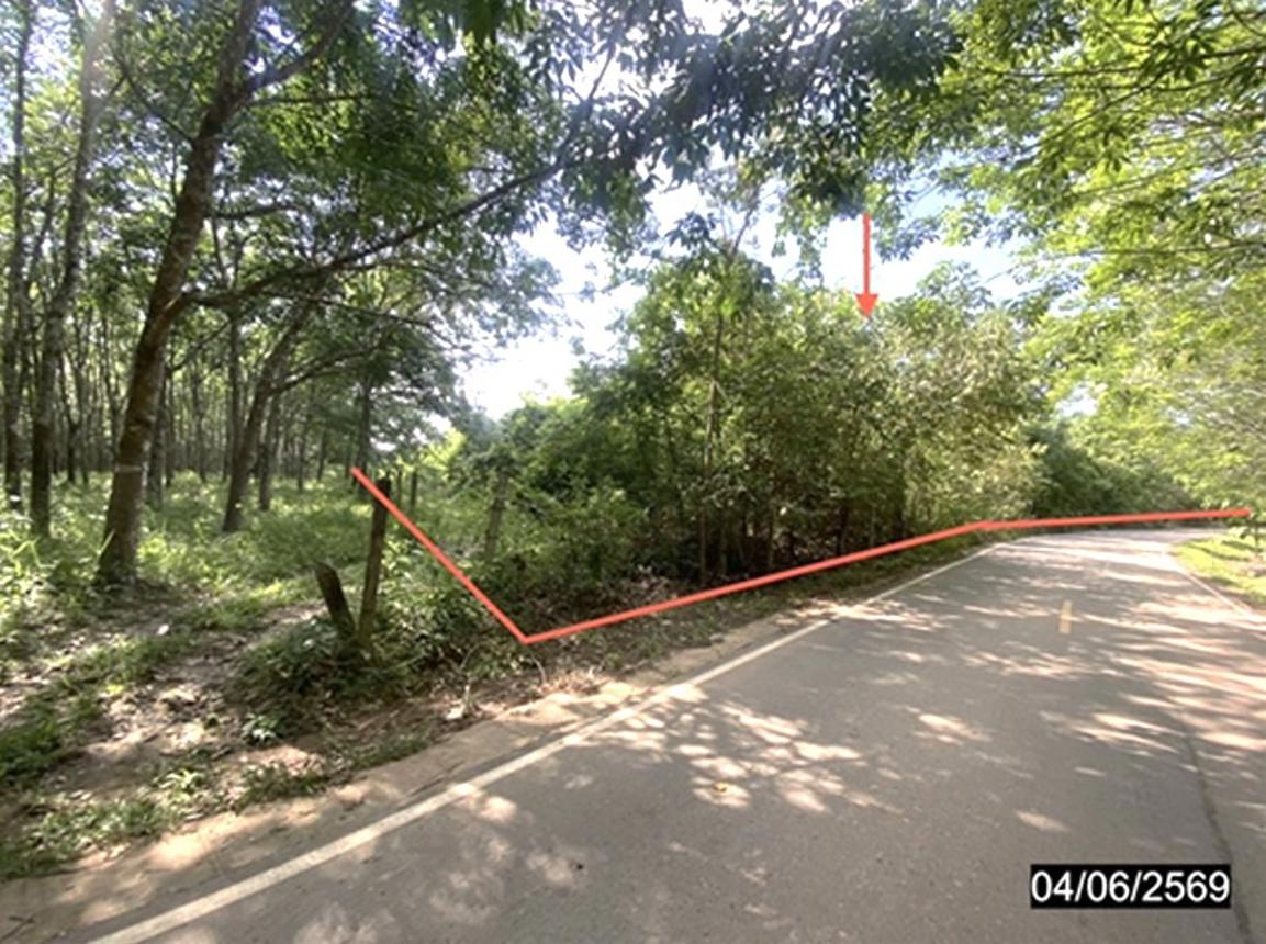 รูป ที่ดินว่างเปล่า 12418 ตร.วา เมืองบึงกาฬ บึงกาฬ 11M - รูปที่ 10/19