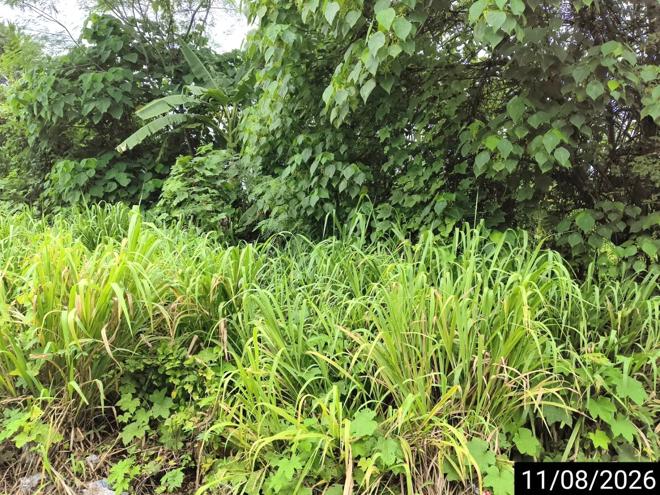 รูป ที่ดินว่างเปล่า 408.8 ตร.วา เมืองชุมพร ชุมพร 3.7M - รูปที่ 6/37