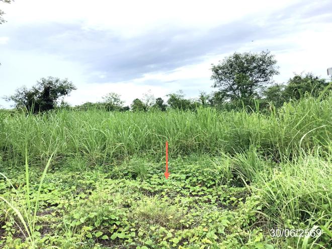 picture LAND 6268.9 Sq.w. Muang Kamphaeng Phet Kamphaeng Phet for 7.6M - 6/25
