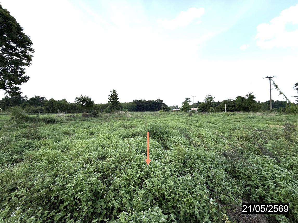 รูป ที่ดินว่างเปล่า 2522 ตร.วา ยางตลาด กาฬสินธุ์ 2.1M - รูปที่ 19/25