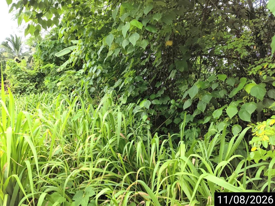 รูป ที่ดินว่างเปล่า 408.8 ตร.วา เมืองชุมพร ชุมพร 3.7M - รูปที่ 21/37
