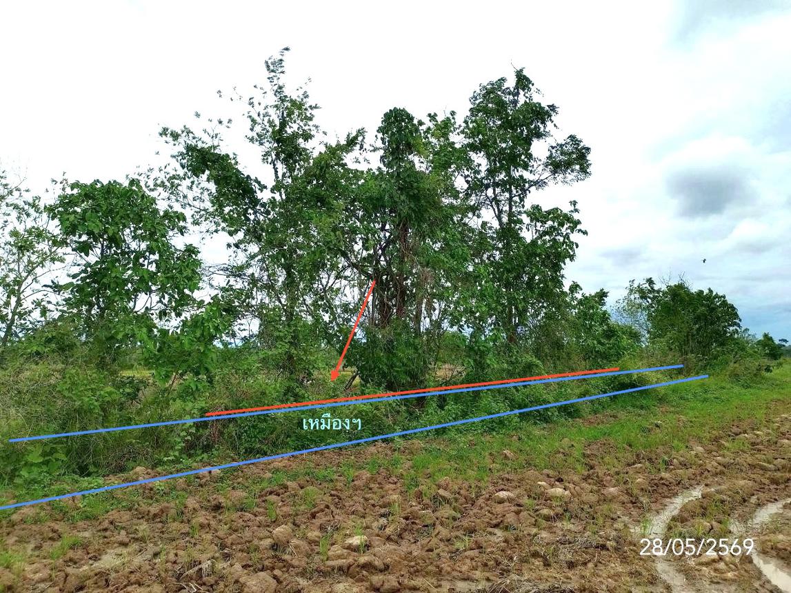 รูป ที่ดินว่างเปล่า 1292.7 ตร.วา เมืองพะเยา พะเยา 860,000 - รูปที่ 7/13