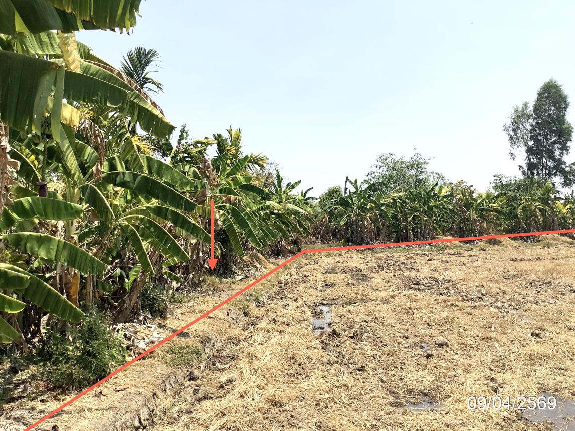 รูป ที่ดินว่างเปล่า 4246 ตร.วา คลองขลุง กำแพงเพชร 4.4M - รูปที่ 17/25