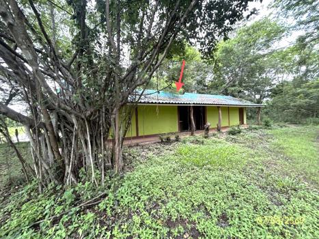 รูป บ้านเดี่ยว 2910 ตร.วา พนา อำนาจเจริญ 1.4M - รูปที่ 22/25