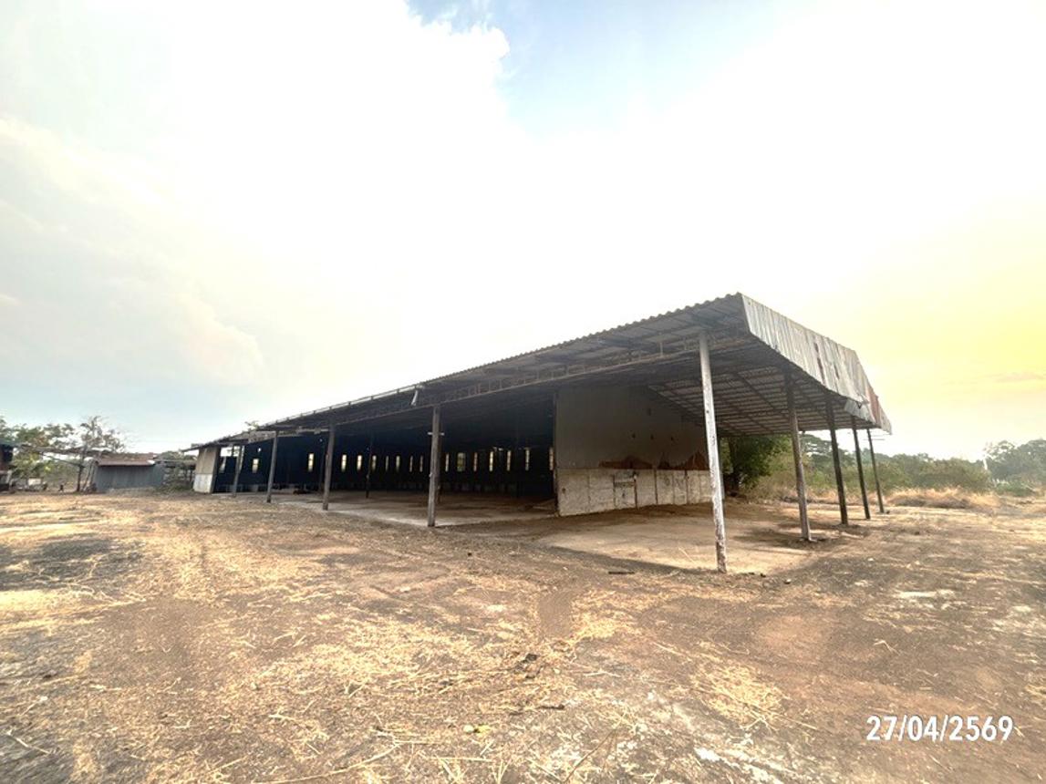 รูป โกดัง 14145 ตร.วา น้ำขุ่น อุบลราชธานี 14.2M - รูปที่ 31/63