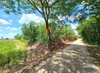 listing thumbnail image 11