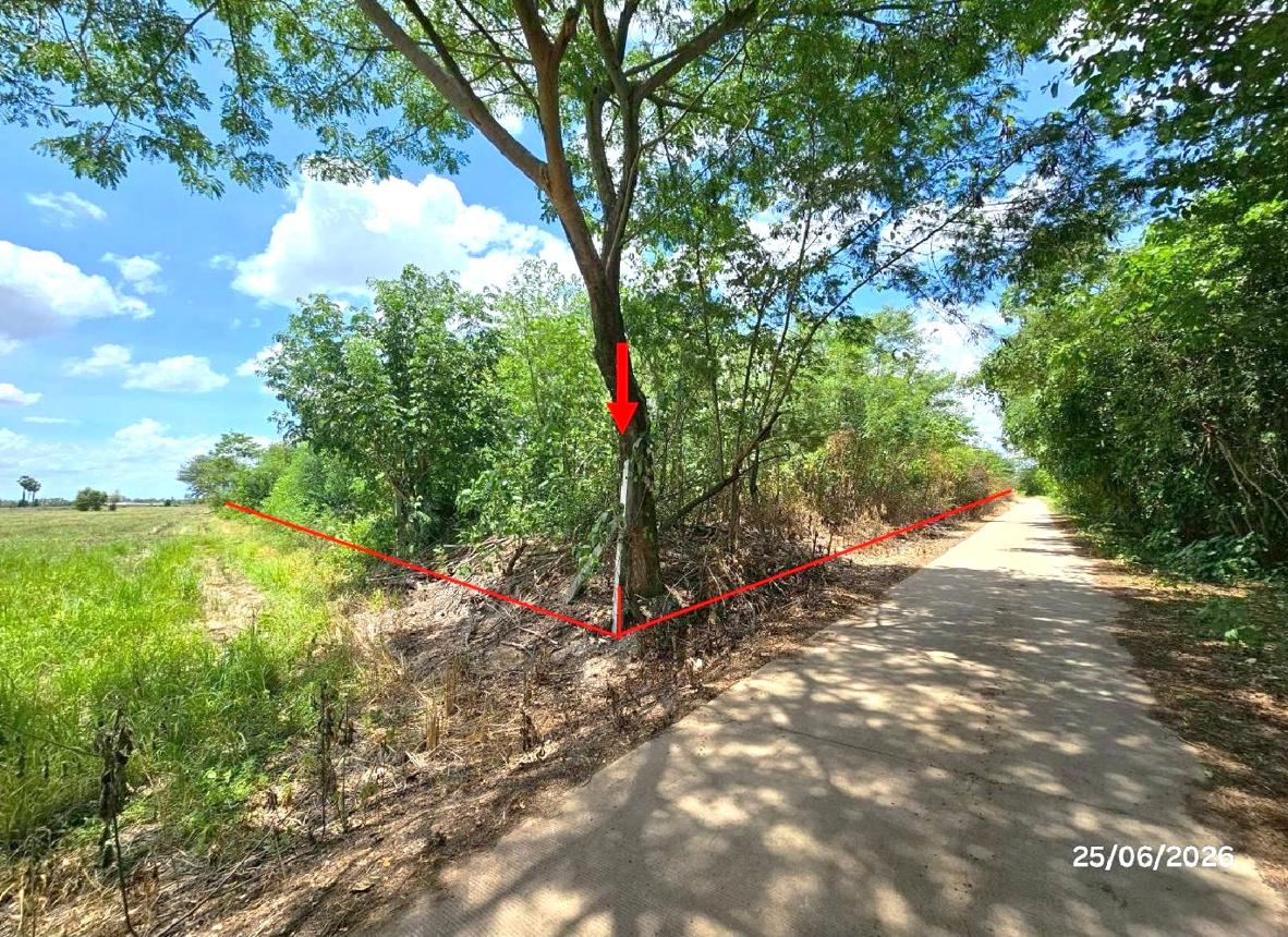 picture LAND 6391.3 Sq.w. Tron Uttaradit for 9.5M - 12/21