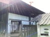 listing thumbnail image 27