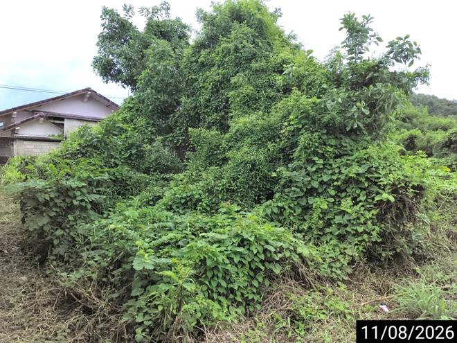 รูป ที่ดินว่างเปล่า 408.8 ตร.วา เมืองชุมพร ชุมพร 3.7M - รูปที่ 17/37