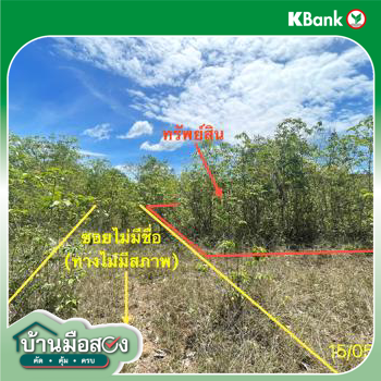 picture LAND 50 Sq.w. Rattaphum Songkhla for 225,000 - 13/15