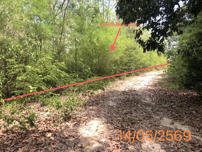รูป ที่ดินว่างเปล่า 4370 ตร.วา คลองท่อม กระบี่ 35.8M - รูปที่ 2/21