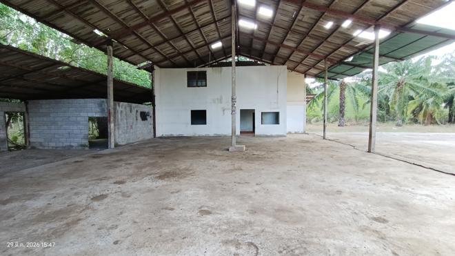 picture FACTORY 1620.3 Sq.w. Huai Yot Trang for 4.8M - 7/35