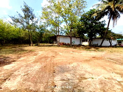 Houses for sale Na Di Prachinburi : HOME 1200 Sq.w. Na Di Prachinburi for 6.1M
