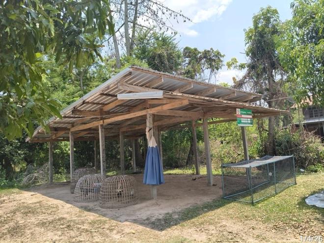 รูป บ้านเดี่ยว 2443 ตร.วา ศีขรภูมิ สุรินทร์ 1.5M - รูปที่ 14/47